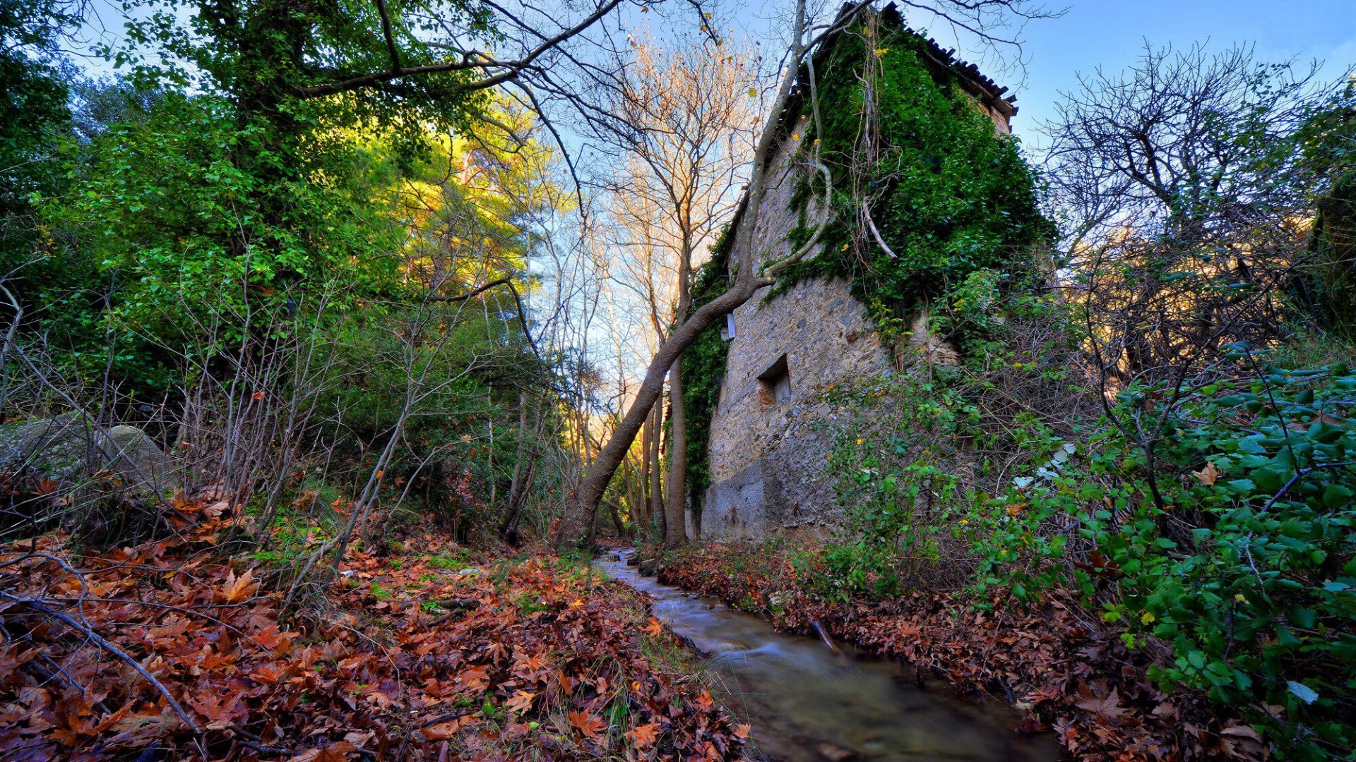 Περπάτησε Κατα Μήκος του Σεδούντα