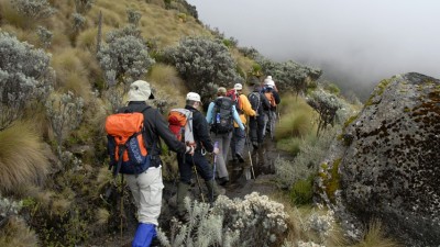 Πρόγραμμα Περιπατητικών Διαδρομών